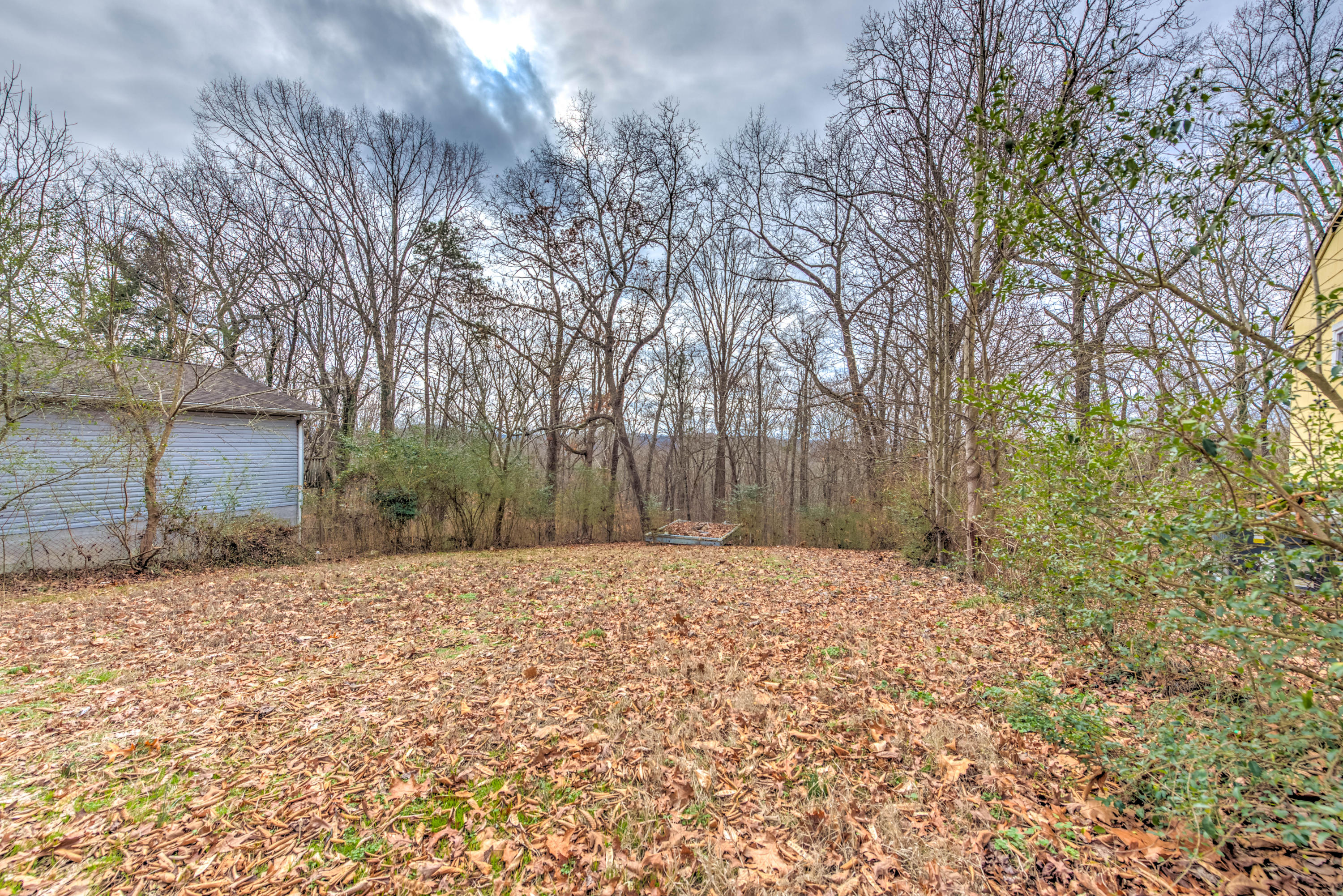 216 Wadsworth Place Oak Ridge, TN 37830 - Photo 16 of 19 16
