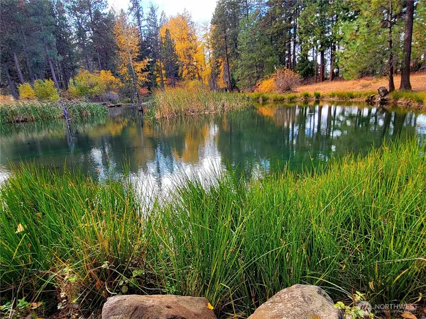 a view of a lake with a garden