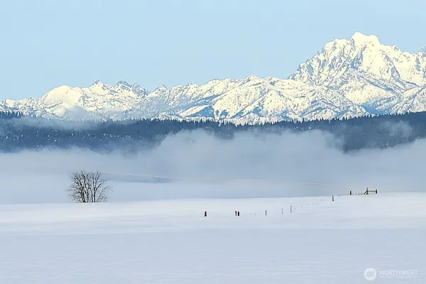 a close view of white cabinets