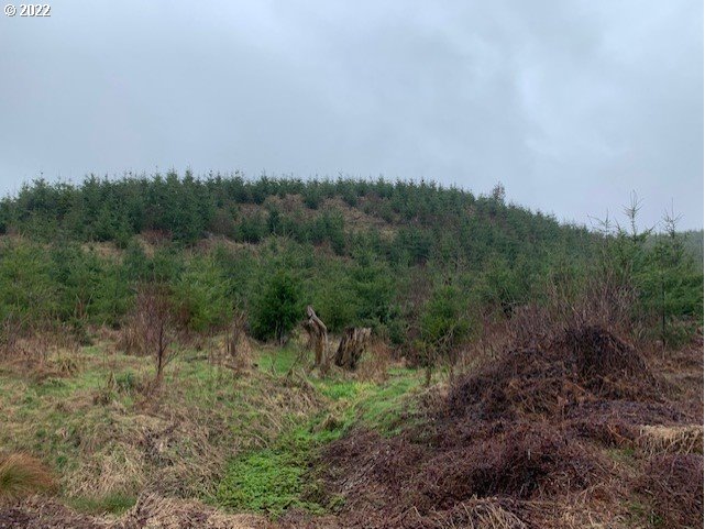 Elk Creek Road Rainier, OR 97048 - Photo 7 of 15 a view of a field of grass and trees
