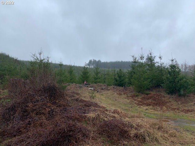Elk Creek Road Rainier, OR 97048 - Photo 8 of 15 a view of a field with trees in background
