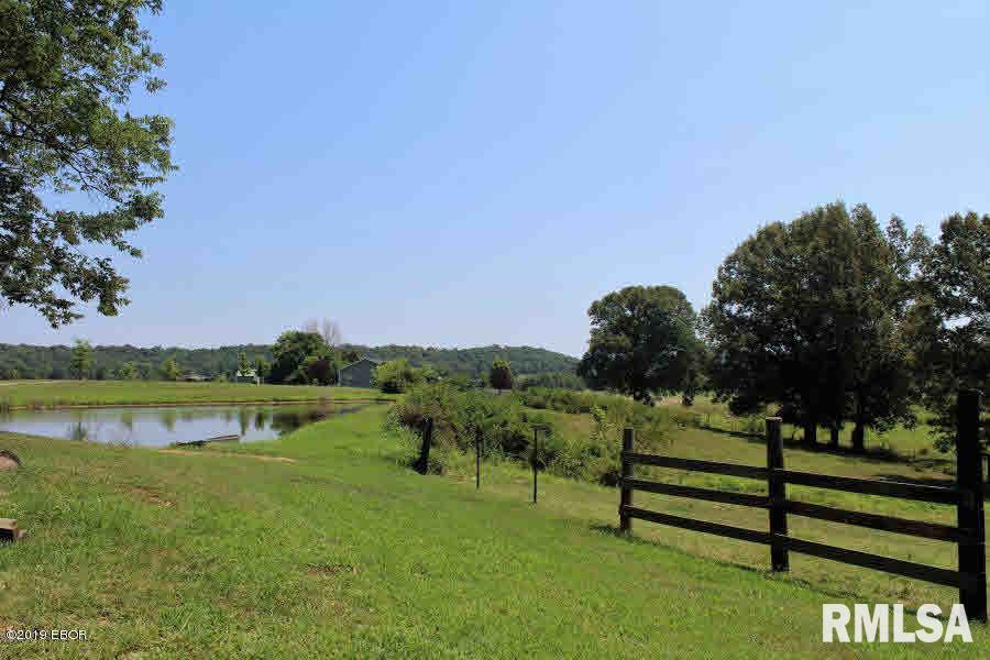 3805 Moscow Road Dongola, IL 62926 - Photo 3 of 7