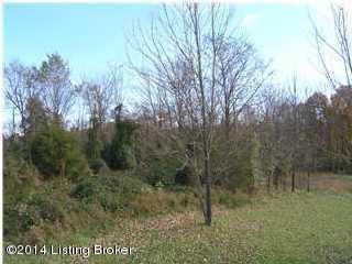 97 Cedar Run Road Pendleton, KY 40055 - Photo 4 of 4 20131221001423770722000000-o