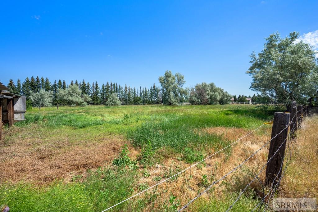 167 North 4200 East Rigby, ID 83442 - Photo 39 of 49 Pasture