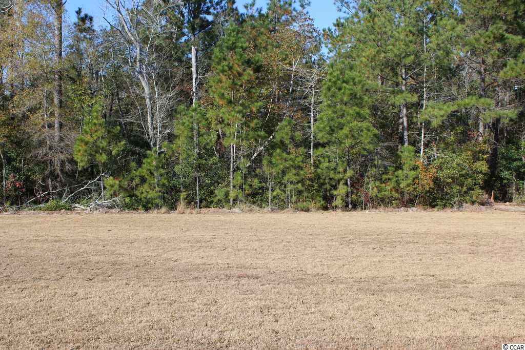 5135 Huston Road Conway, SC 29526 - Photo 22 of 33 Gallery Image 22