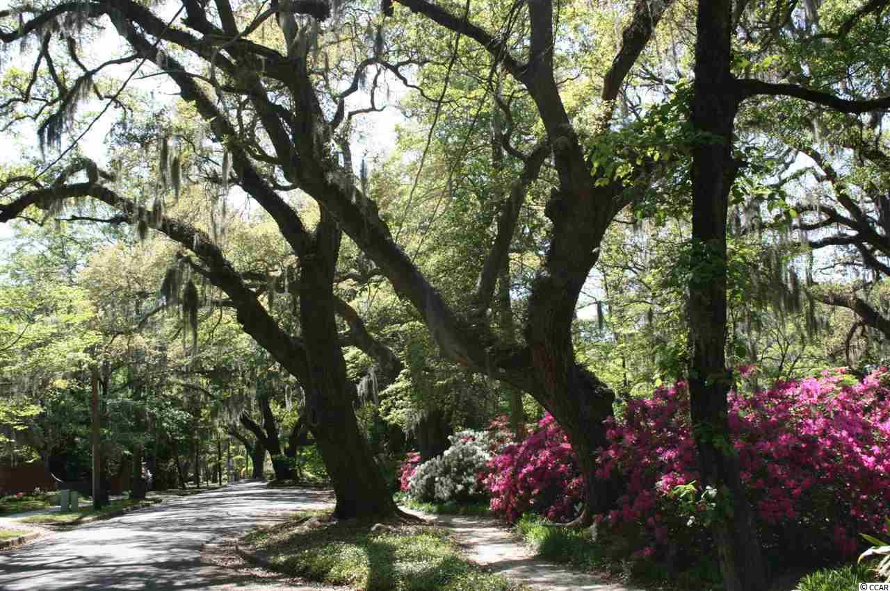 5135 Huston Road Conway, SC 29526 - Photo 29 of 33 Gallery Image 29