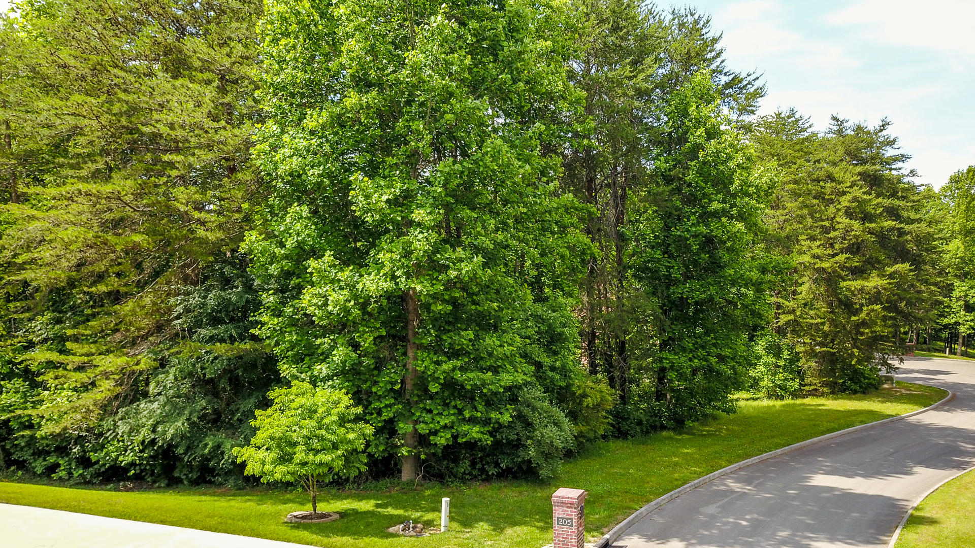 221 Hughes Road Greenback, TN 37742 - Photo 5 of 6 DSC1725-20