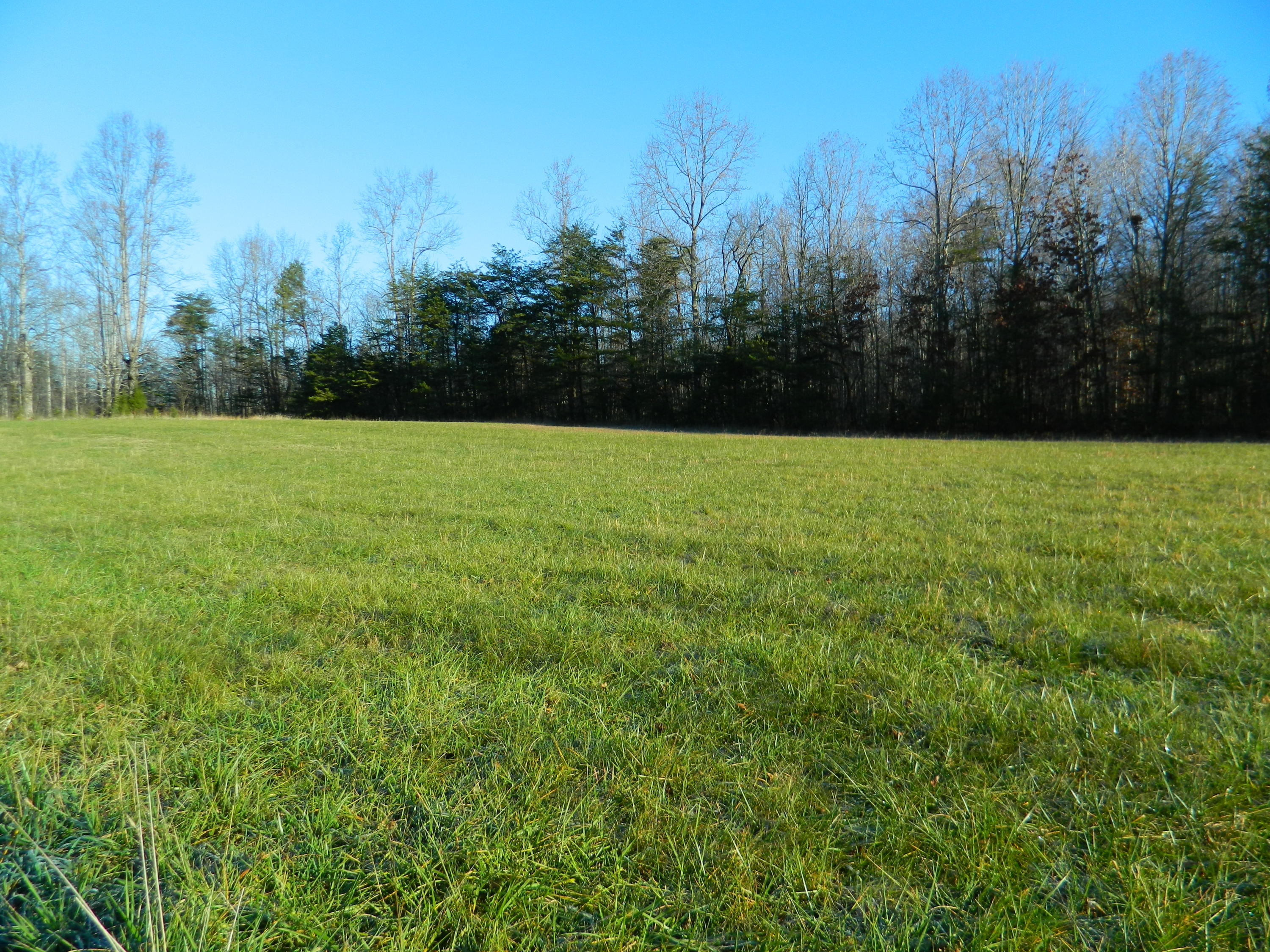2290 Crestridge Road Bassett, VA 24055 - Photo 32 of 37 37