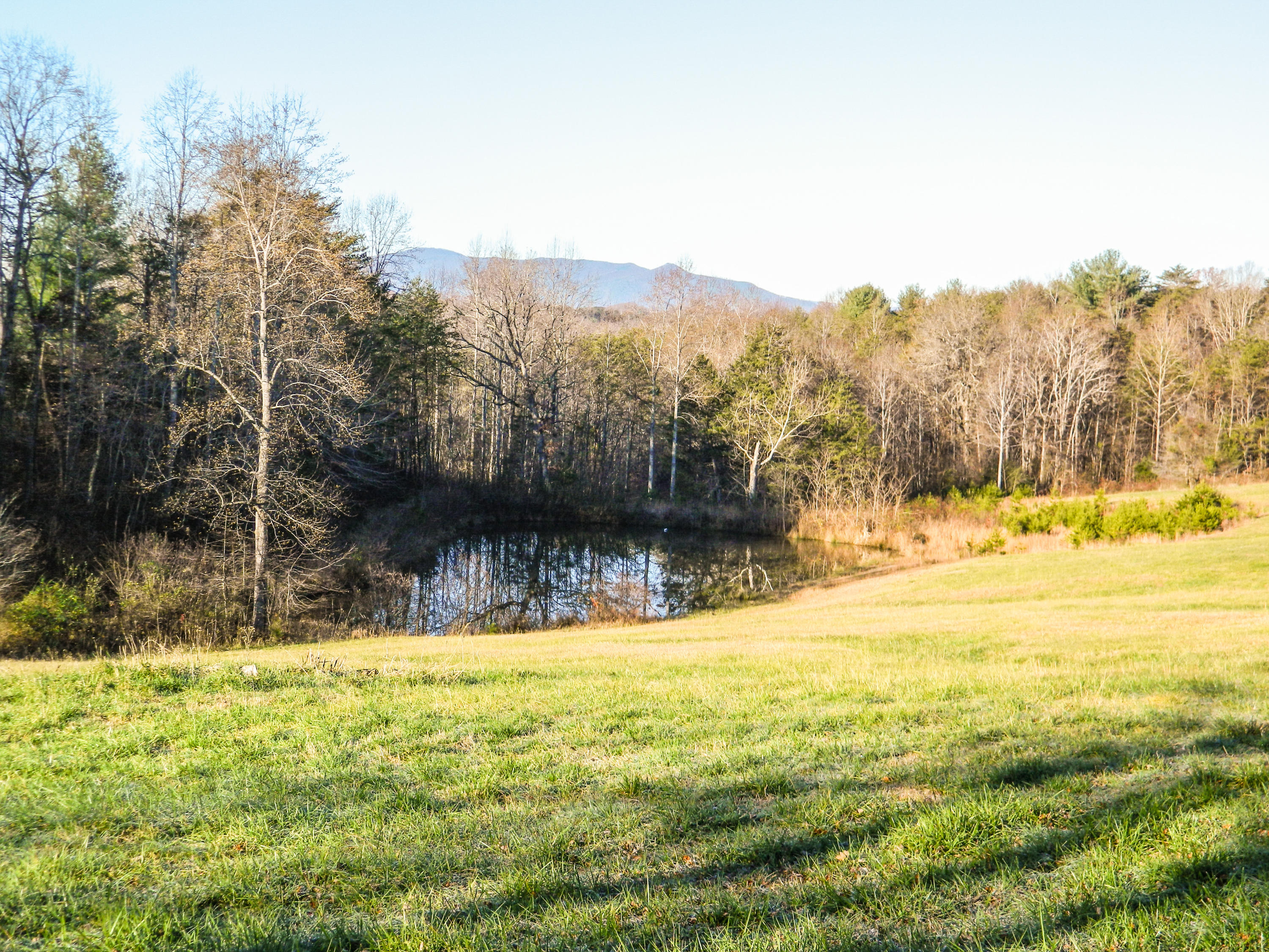 2290 Crestridge Road Bassett, VA 24055 - Photo 36 of 37 35
