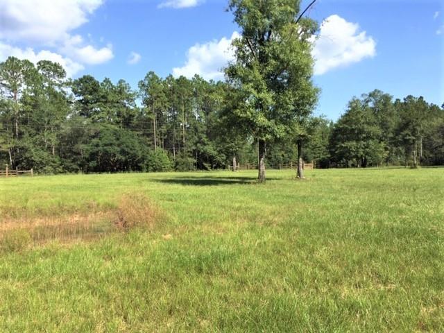 71107 Hebert Road Abita Springs, LA 70420 - Photo 20 of 30