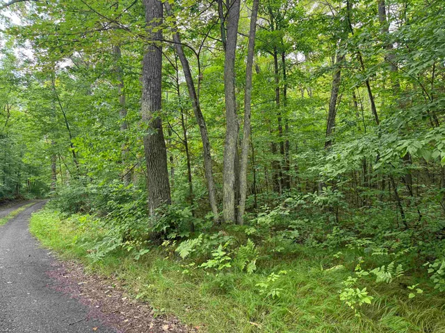 $39,900 | Lot 17-18 Sleepy Fawn Lane, Iron River, WI 54847