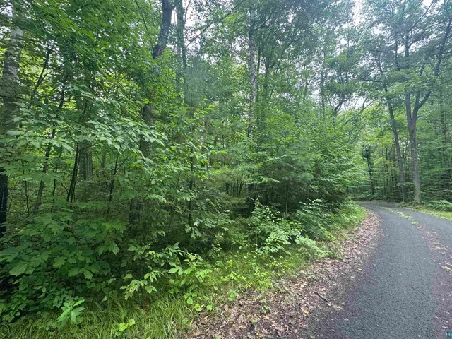 $39,900 | Lot 17-18 Sleepy Fawn Lane, Iron River, WI 54847