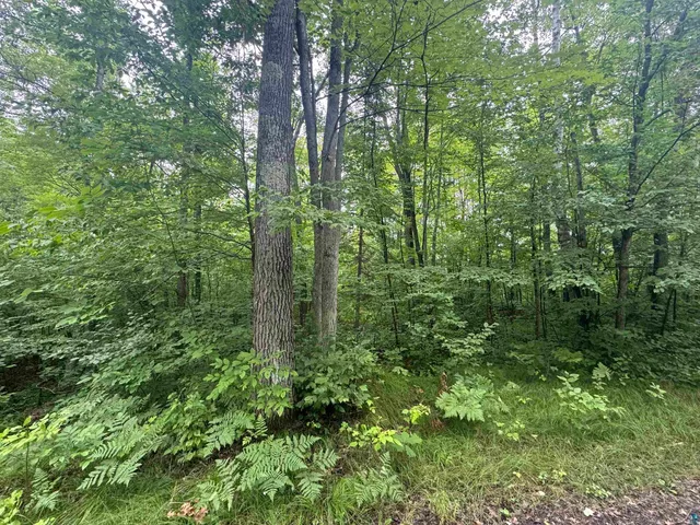 $39,900 | Lot 17-18 Sleepy Fawn Lane, Iron River, WI 54847