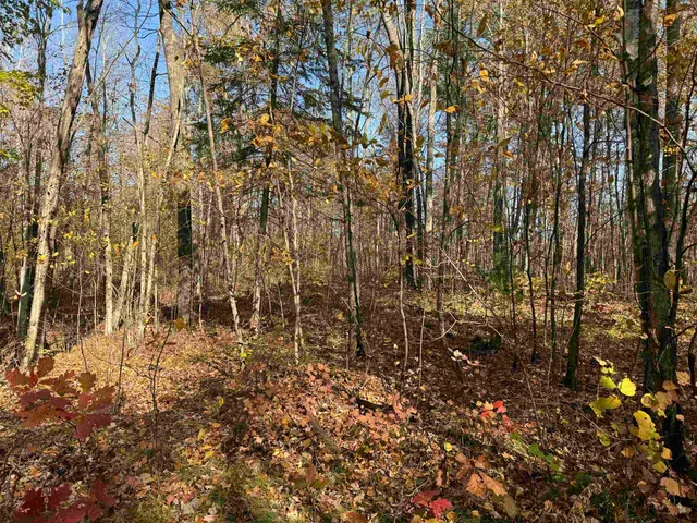 $39,900 | Lot 17-18 Sleepy Fawn Lane, Iron River, WI 54847