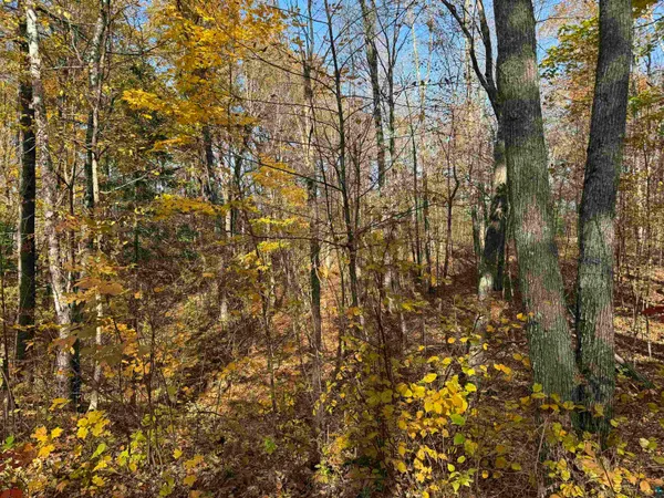 $39,900 | Lot 17-18 Sleepy Fawn Lane, Iron River, WI 54847