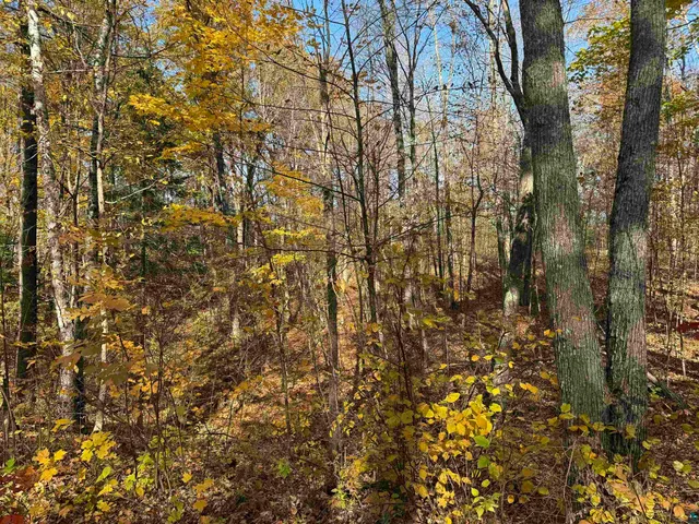 $39,900 | Lot 17-18 Sleepy Fawn Lane, Iron River, WI 54847