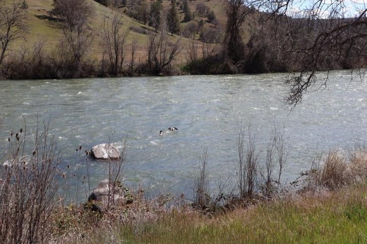 6930 Copco Road Hornbrook, CA 96044 - Photo 26 of 27 Gallery Image 26