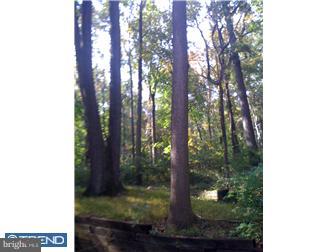 3375 Great Oaks Road New Hope, PA 18938 - Photo 5 of 12 View