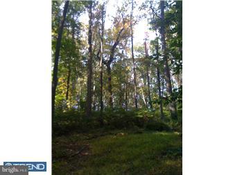 3375 Great Oaks Road New Hope, PA 18938 - Photo 6 of 12 View