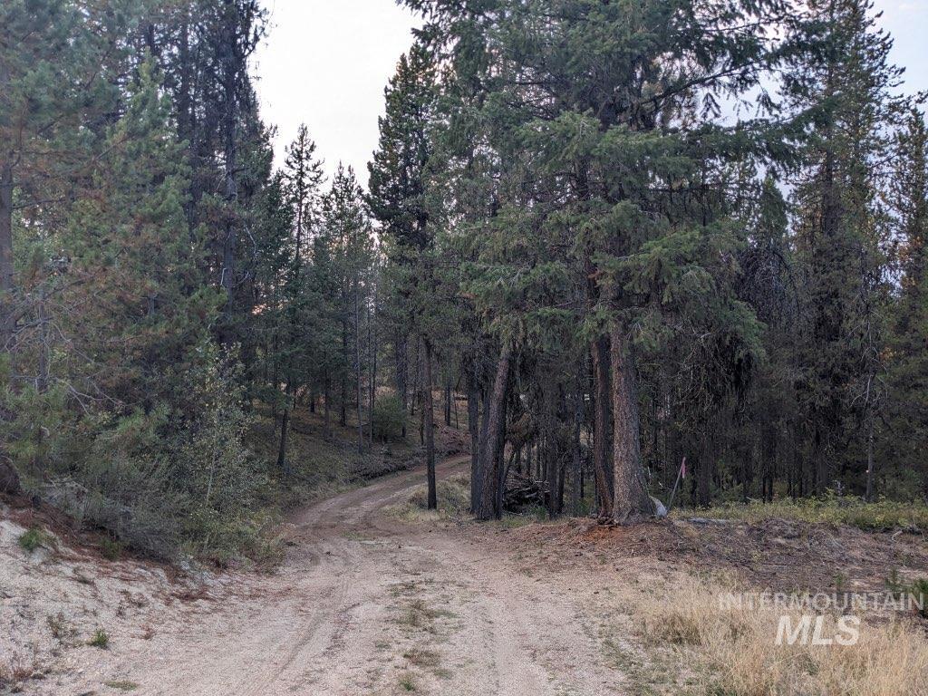 175 Pointes Road Cascade, ID 83611 - Photo 5 of 27 Gallery Image 5