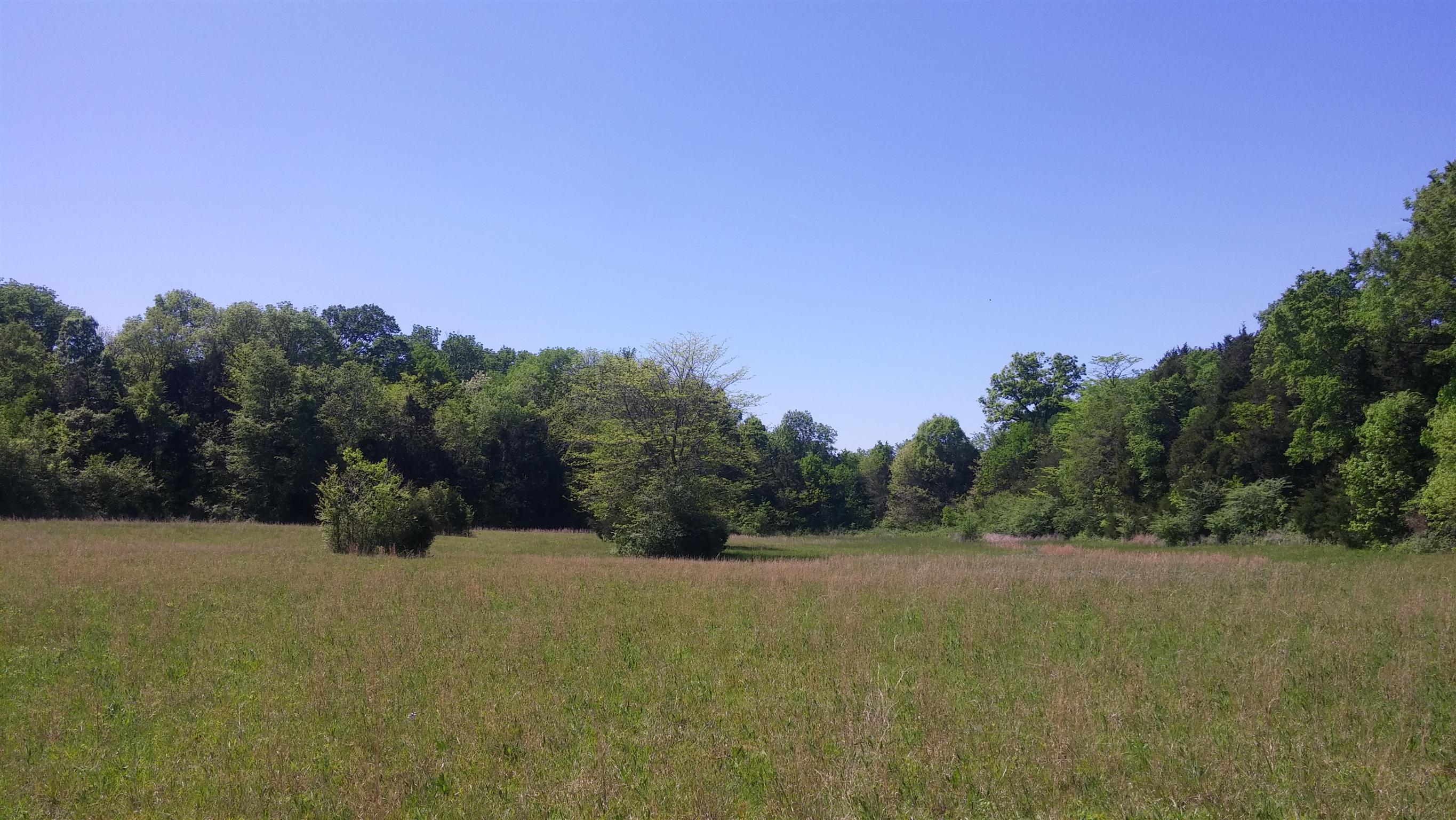 2 Chicken Road Lebanon, TN 37090 - Photo 8 of 12 a view of a field