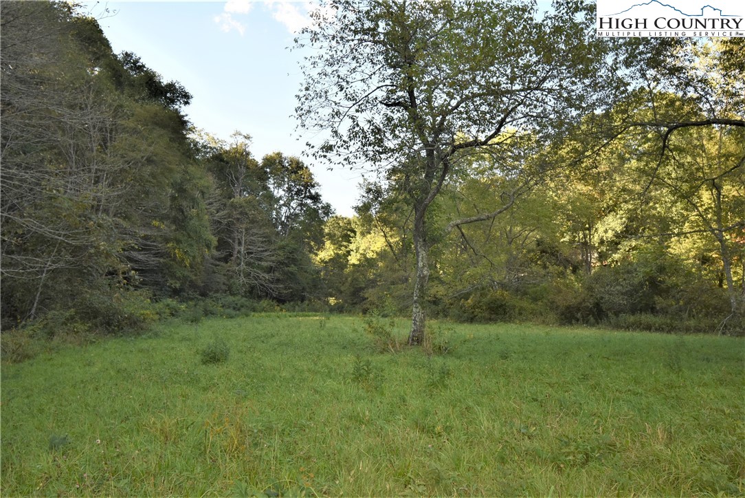 271 Dog Creek Road Crumpler, NC 28617 - Photo 23 of 32 Gallery Image 23