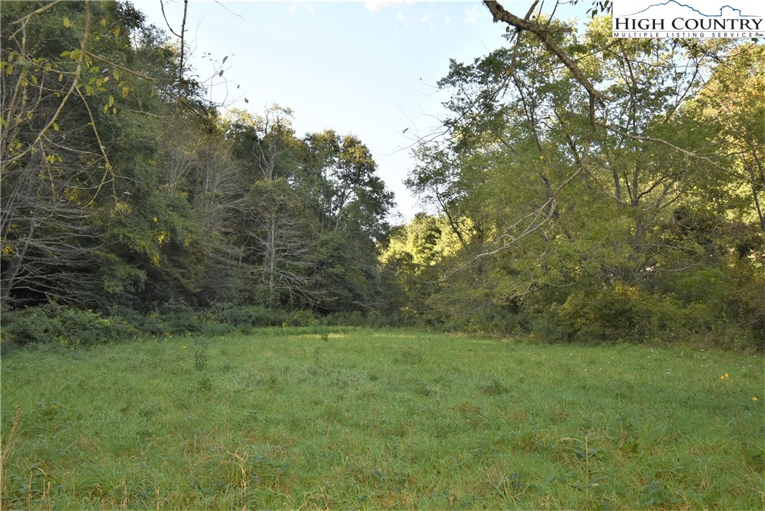 271 Dog Creek Road Crumpler, NC 28617 - Photo 24 of 32 Gallery Image 24