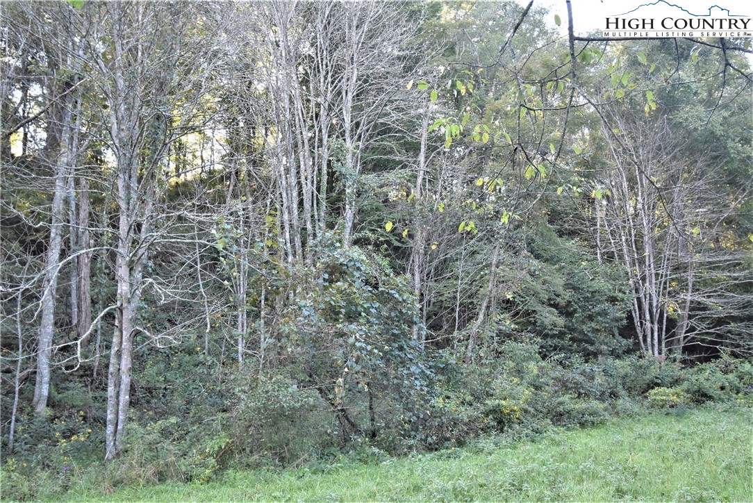 271 Dog Creek Road Crumpler, NC 28617 - Photo 25 of 32 Gallery Image 25