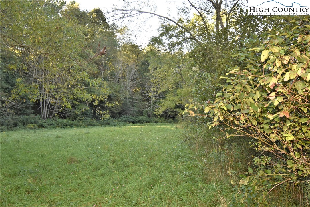 271 Dog Creek Road Crumpler, NC 28617 - Photo 29 of 32 Gallery Image 29