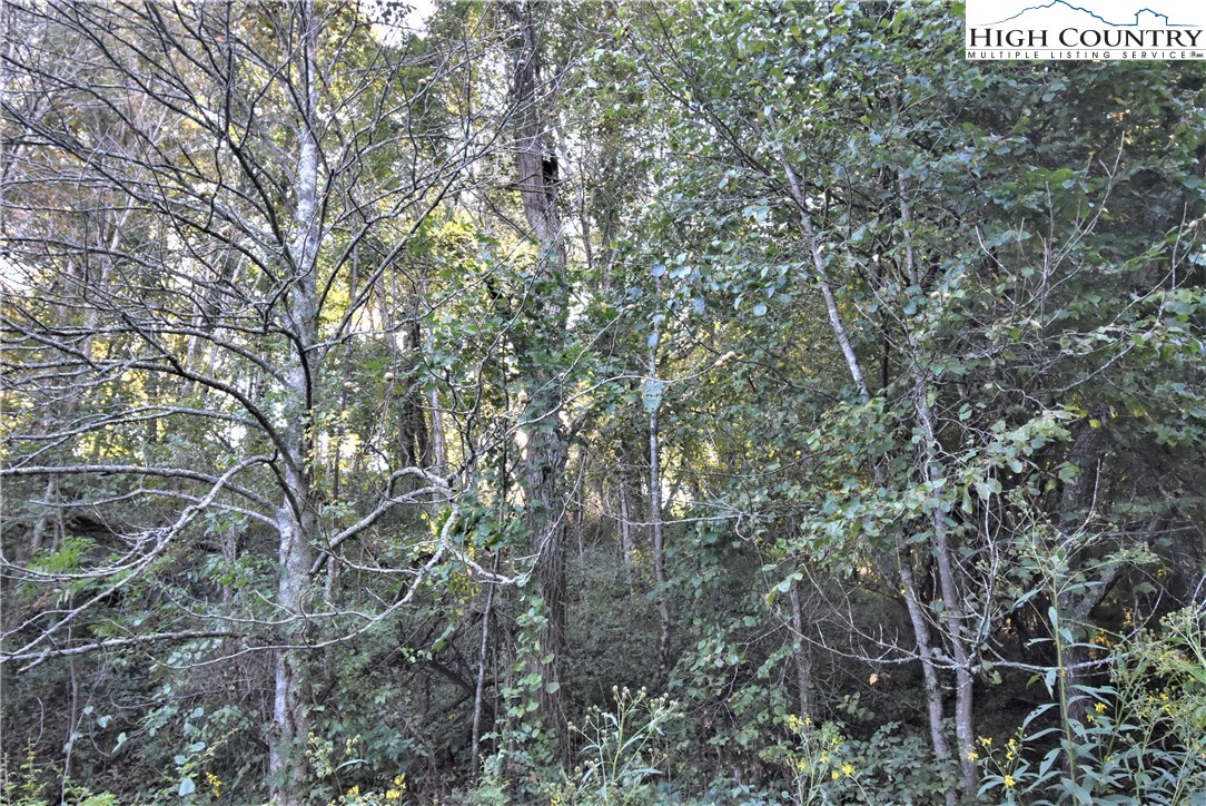 271 Dog Creek Road Crumpler, NC 28617 - Photo 31 of 32 Gallery Image 31