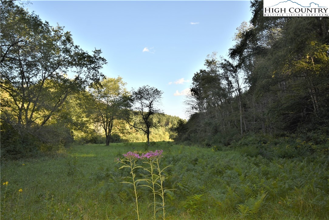 271 Dog Creek Road Crumpler, NC 28617 - Photo 32 of 32 Gallery Image 32