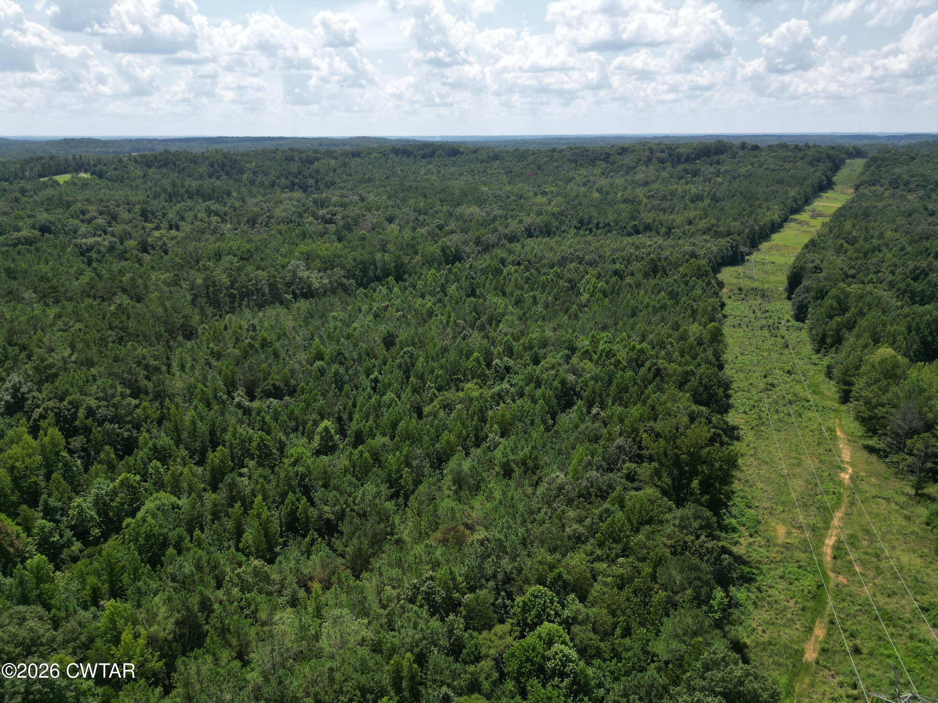 0 McAbee Road Jackson, TN 38301 - Photo 13 of 15 DJI_0636