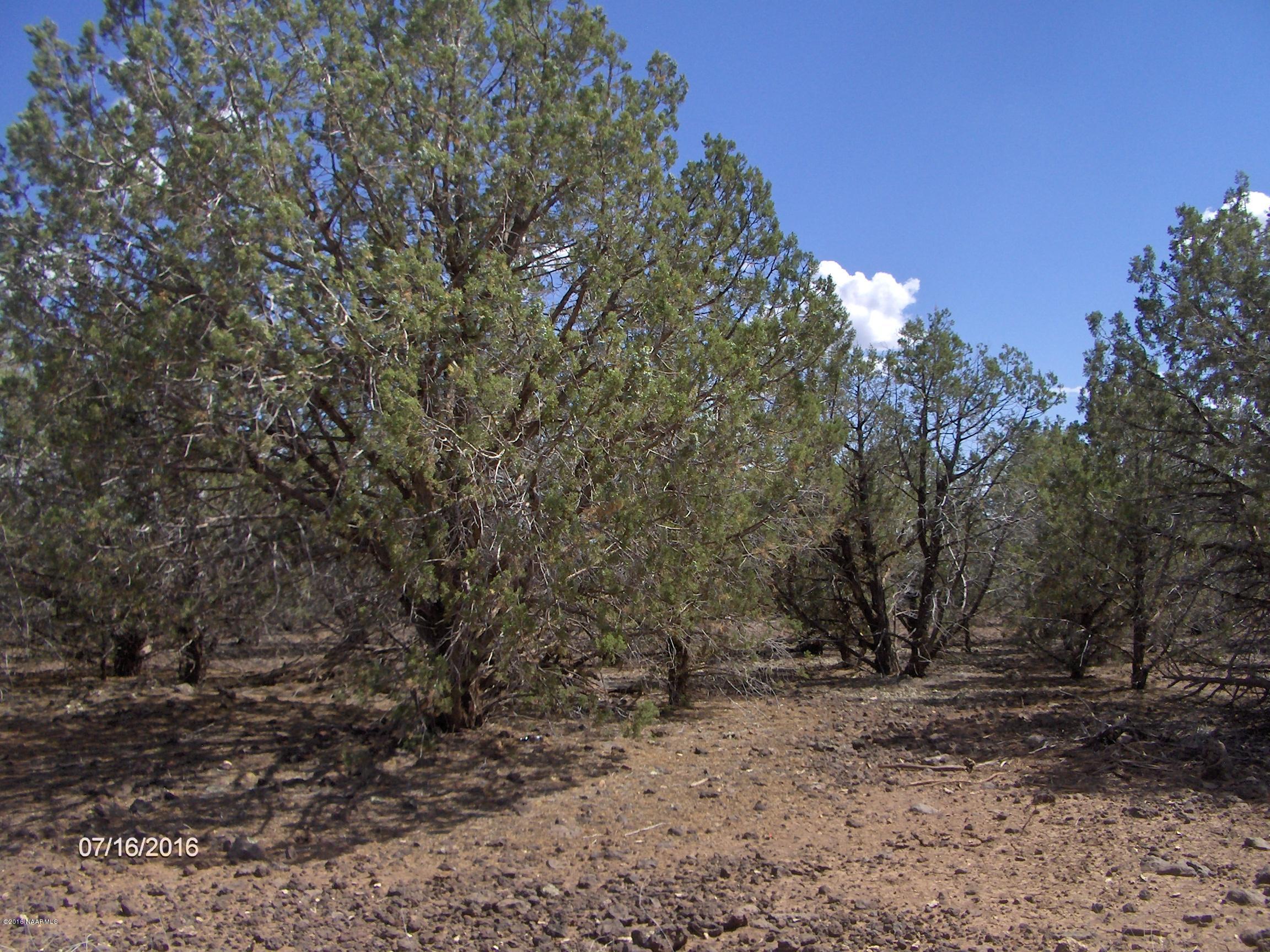 3182 Cumberland Road Williams, AZ 86046 - Photo 3 of 5 HPIM2316
