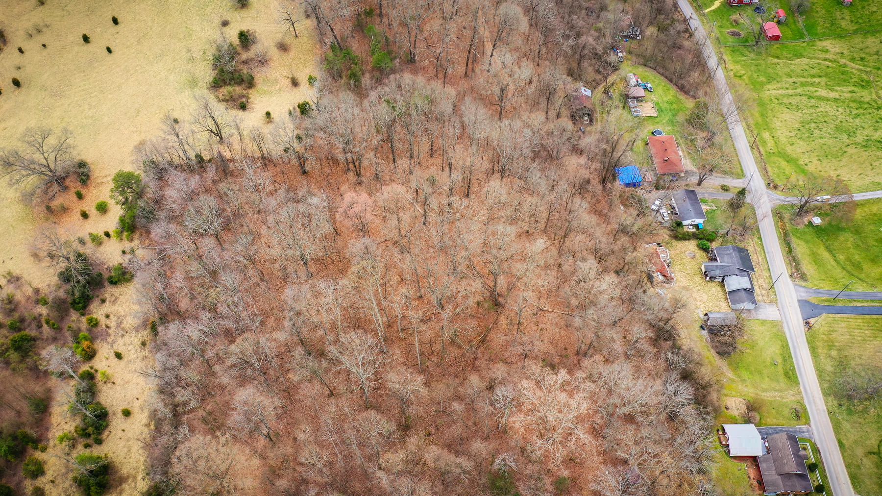 904 Chadwell Road Kingsport, TN 37660 - Photo 5 of 19 103