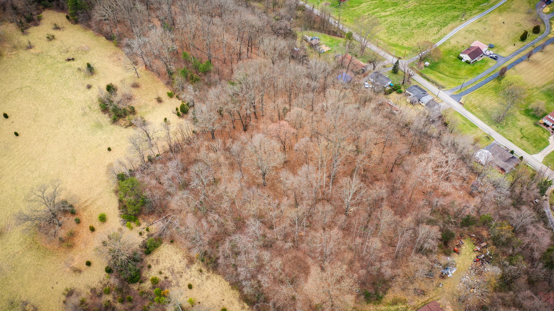 904 Chadwell Road Kingsport, TN 37660 - Photo 6 of 19 104