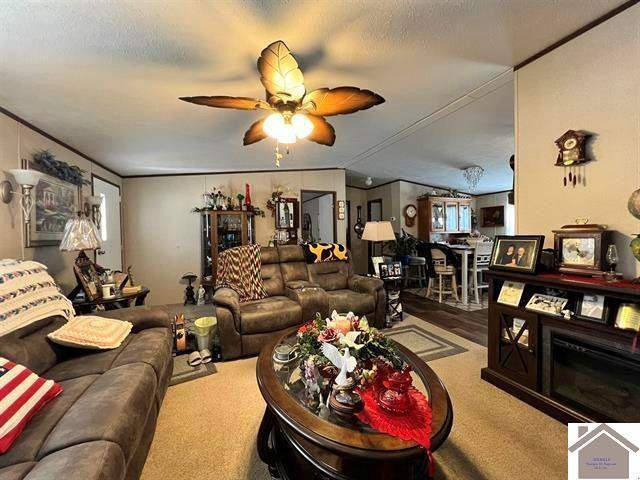 820 3rd Street Hazel, KY 42049 - Photo 3 of 27 Large Living Room