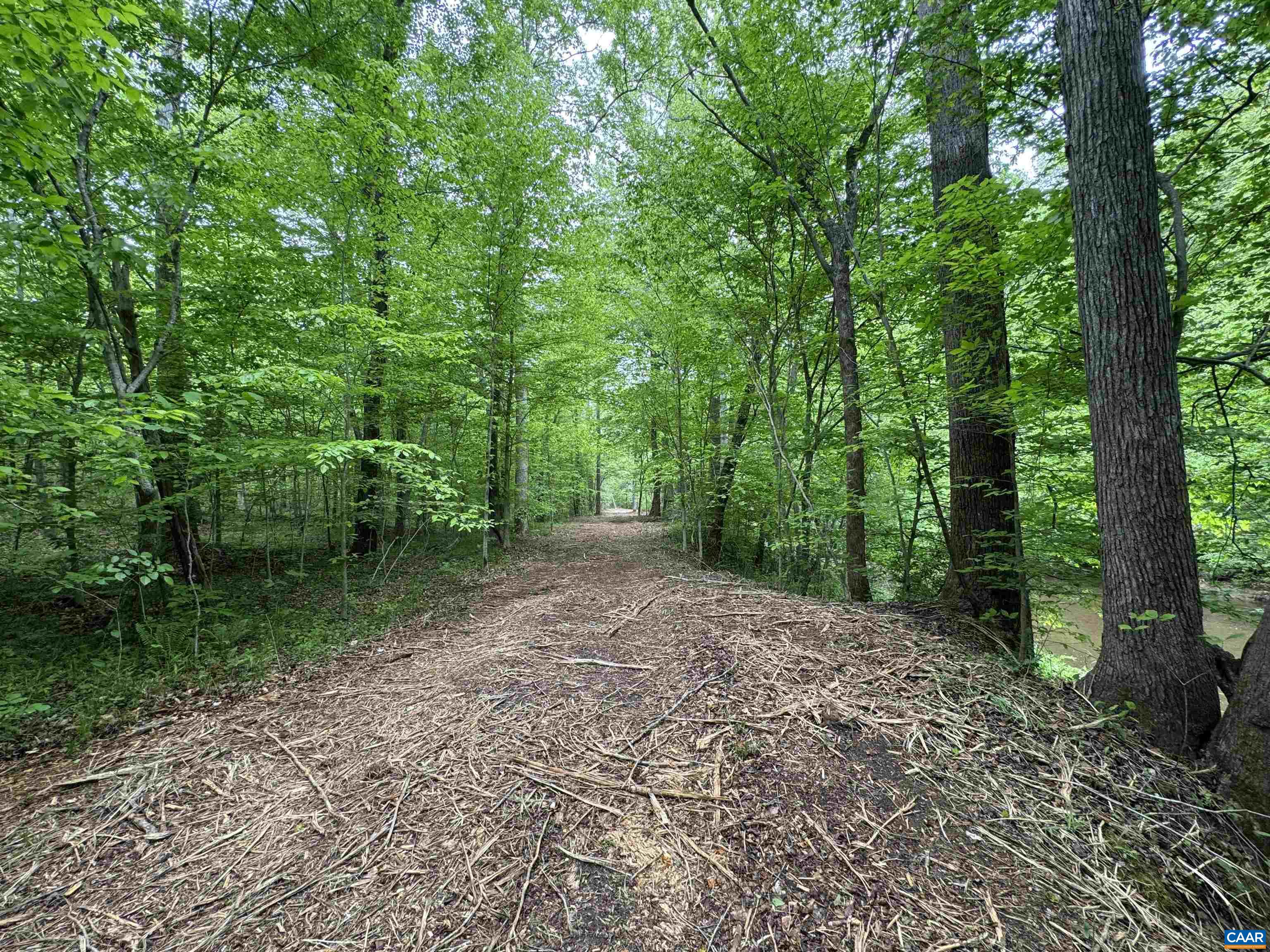Hollywood Road Appomattox, VA 24522 - Photo 3 of 9 Gallery Image 3