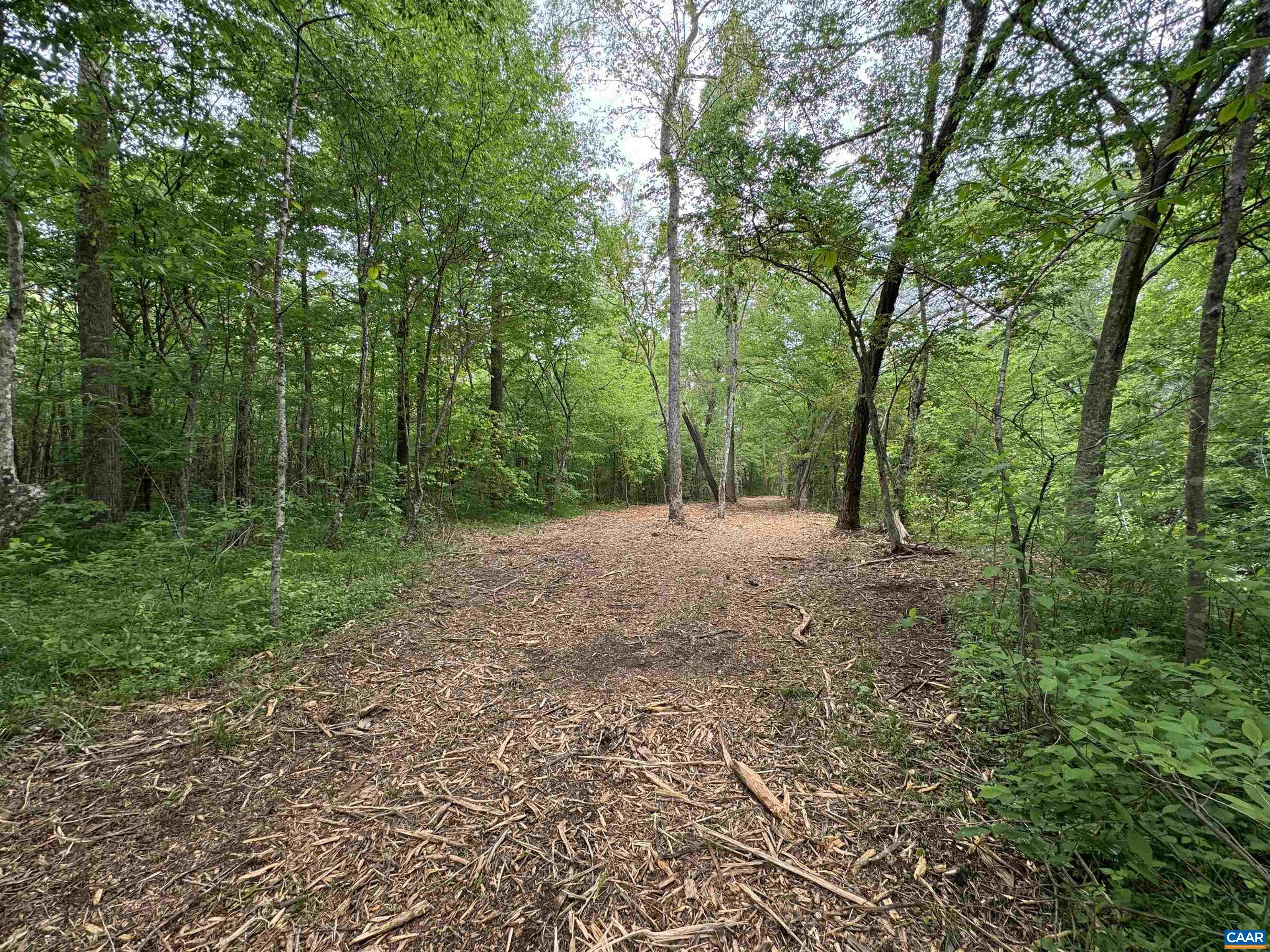 Hollywood Road Appomattox, VA 24522 - Photo 4 of 9 Gallery Image 4