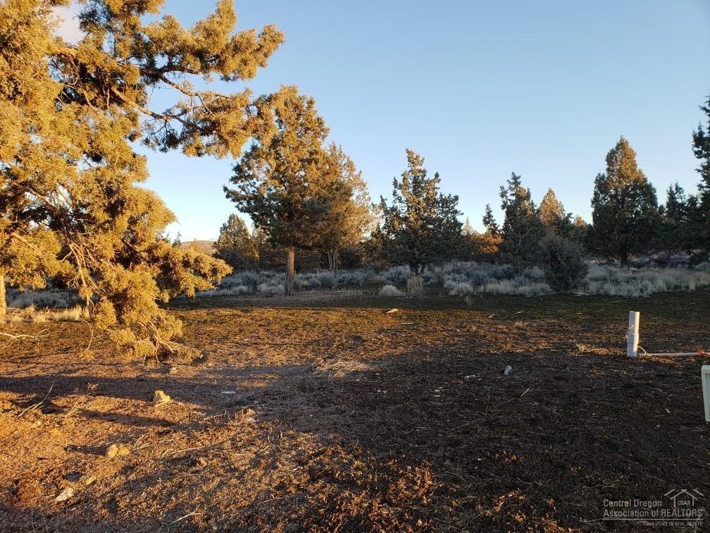 13150 Southeast Falcon Ridge Road Prineville, OR 97754 - Photo 15 of 22 Additional Photo