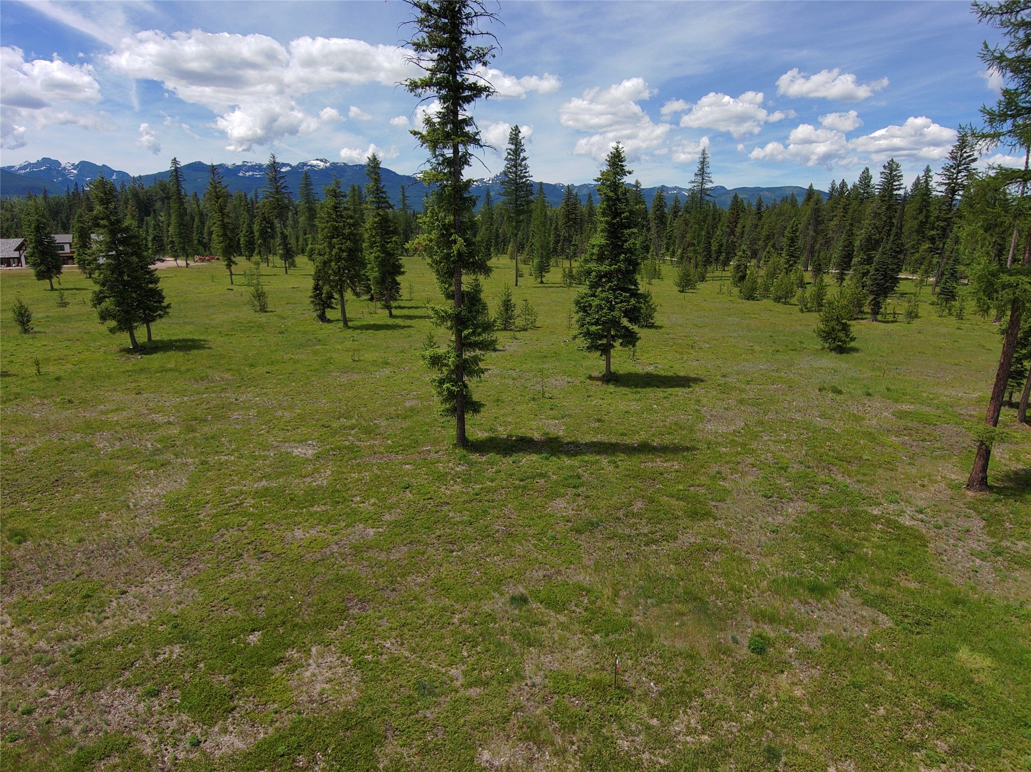 375 Remicks Road Condon, MT 59826 - Photo 8 of 40 Gallery Image 8