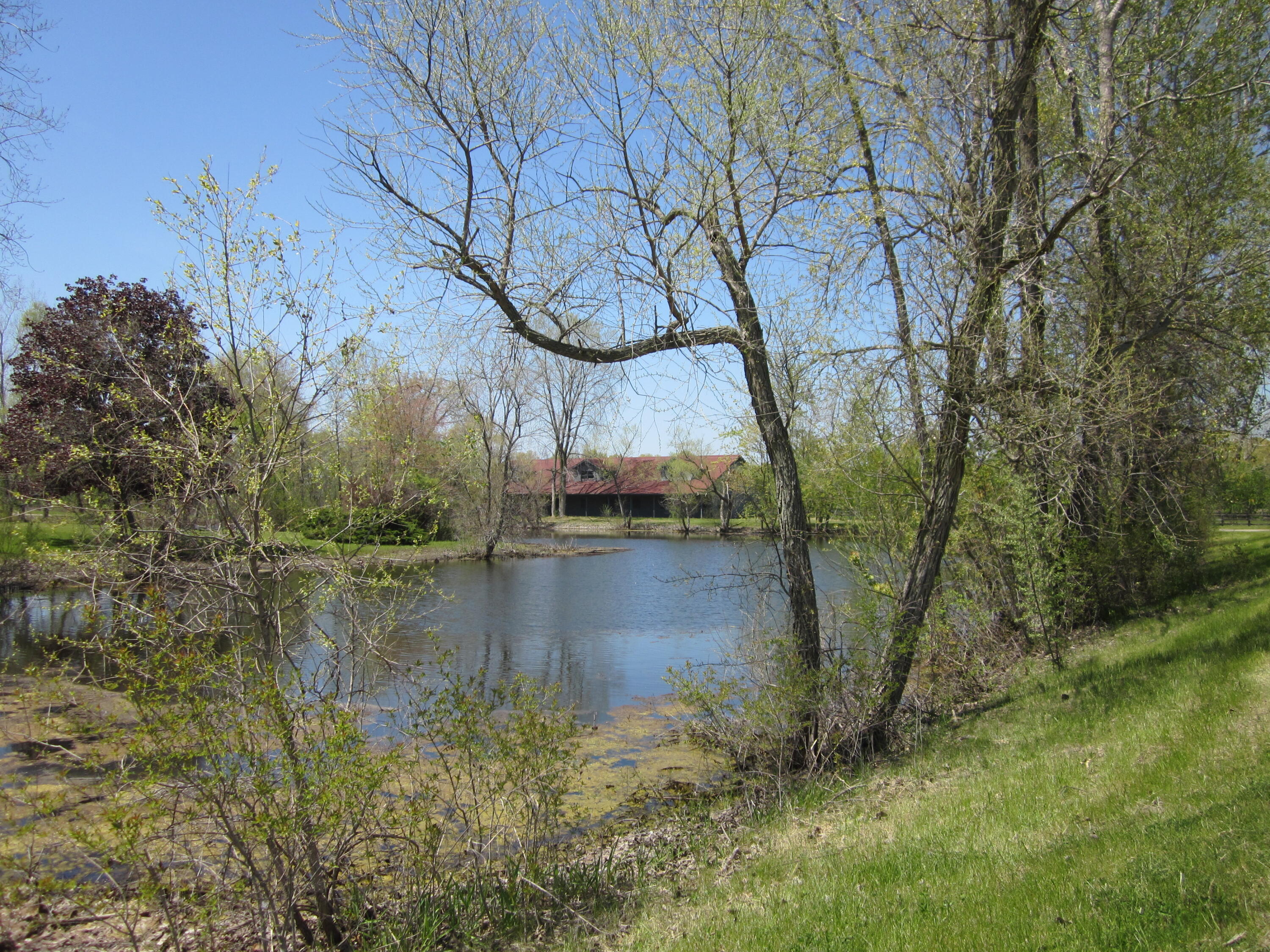 11318 Landon Road Baroda, MI 49101 - Photo 73 of 74 IMG_0086