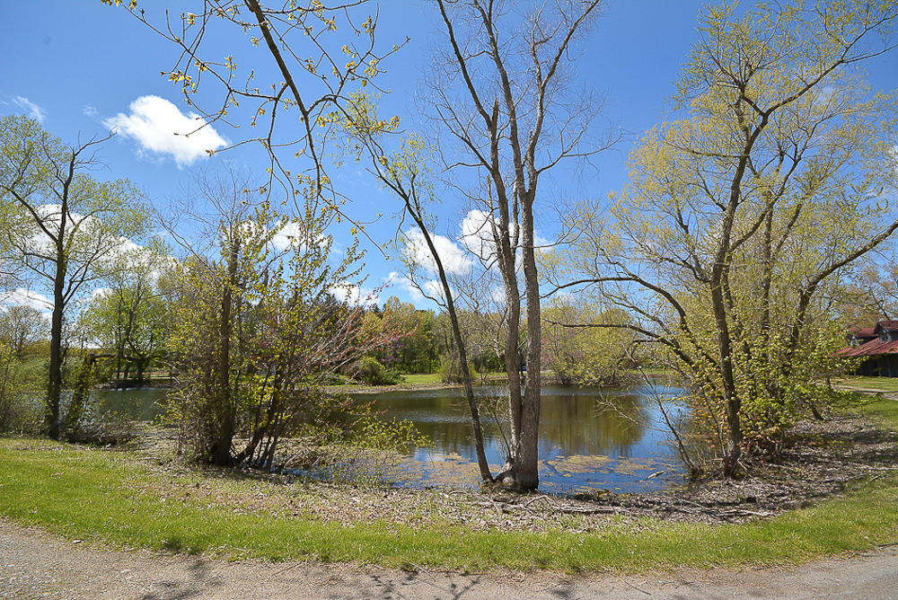 11318 Landon Road Baroda, MI 49101 - Photo 8 of 74 11318Landon_78