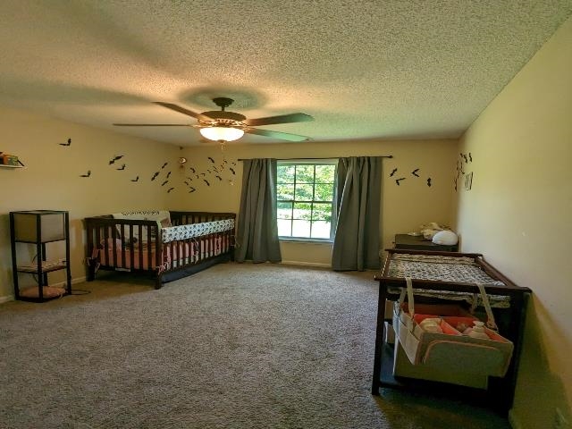 310 Cunningham Road Woodruff, SC 29388 - Photo 15 of 26 Gallery Image 15