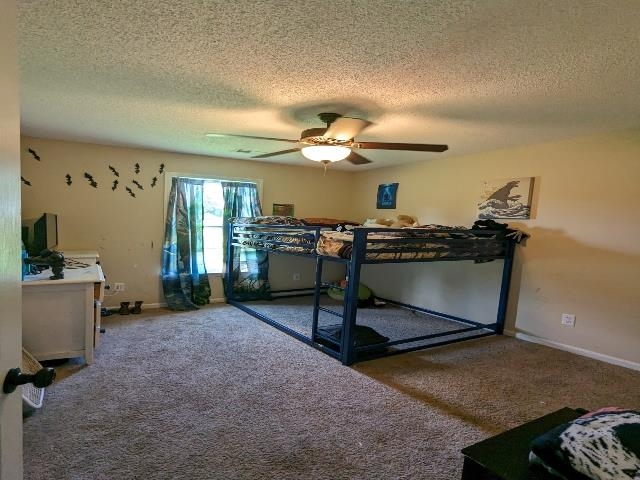 310 Cunningham Road Woodruff, SC 29388 - Photo 19 of 26 Gallery Image 19