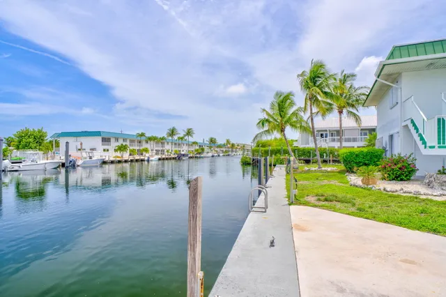 a lake view with a big yard and palm trees