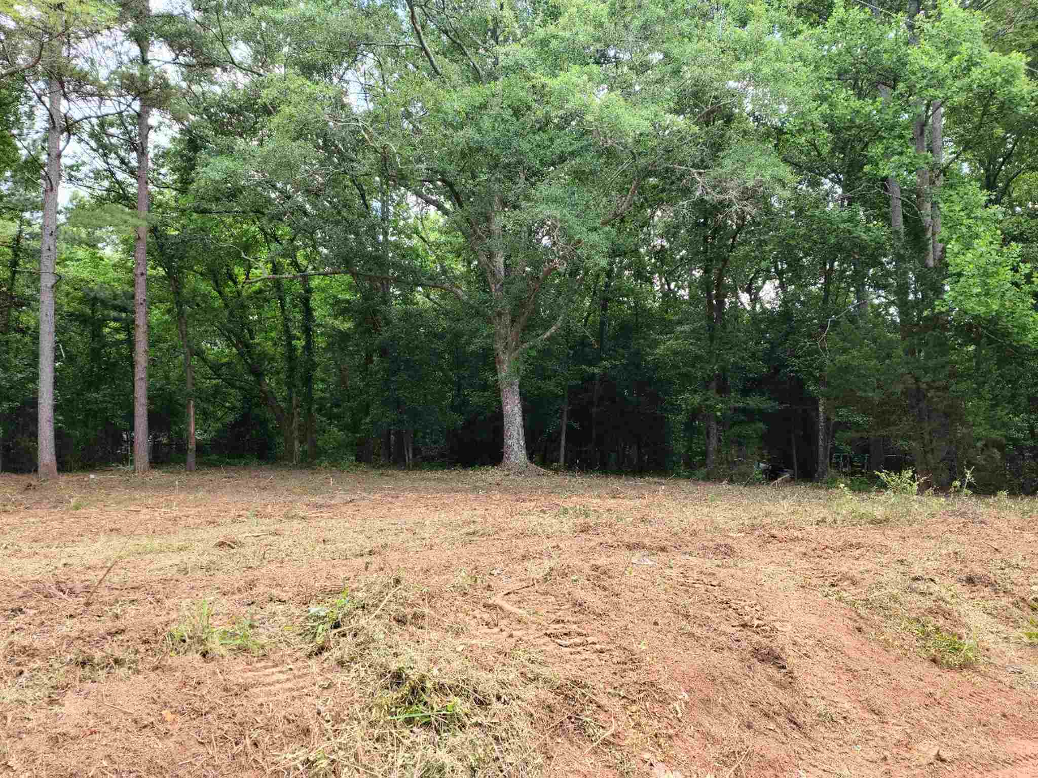 0 Hannah Creek Road Enoree, SC 29335 - Photo 1 of 4