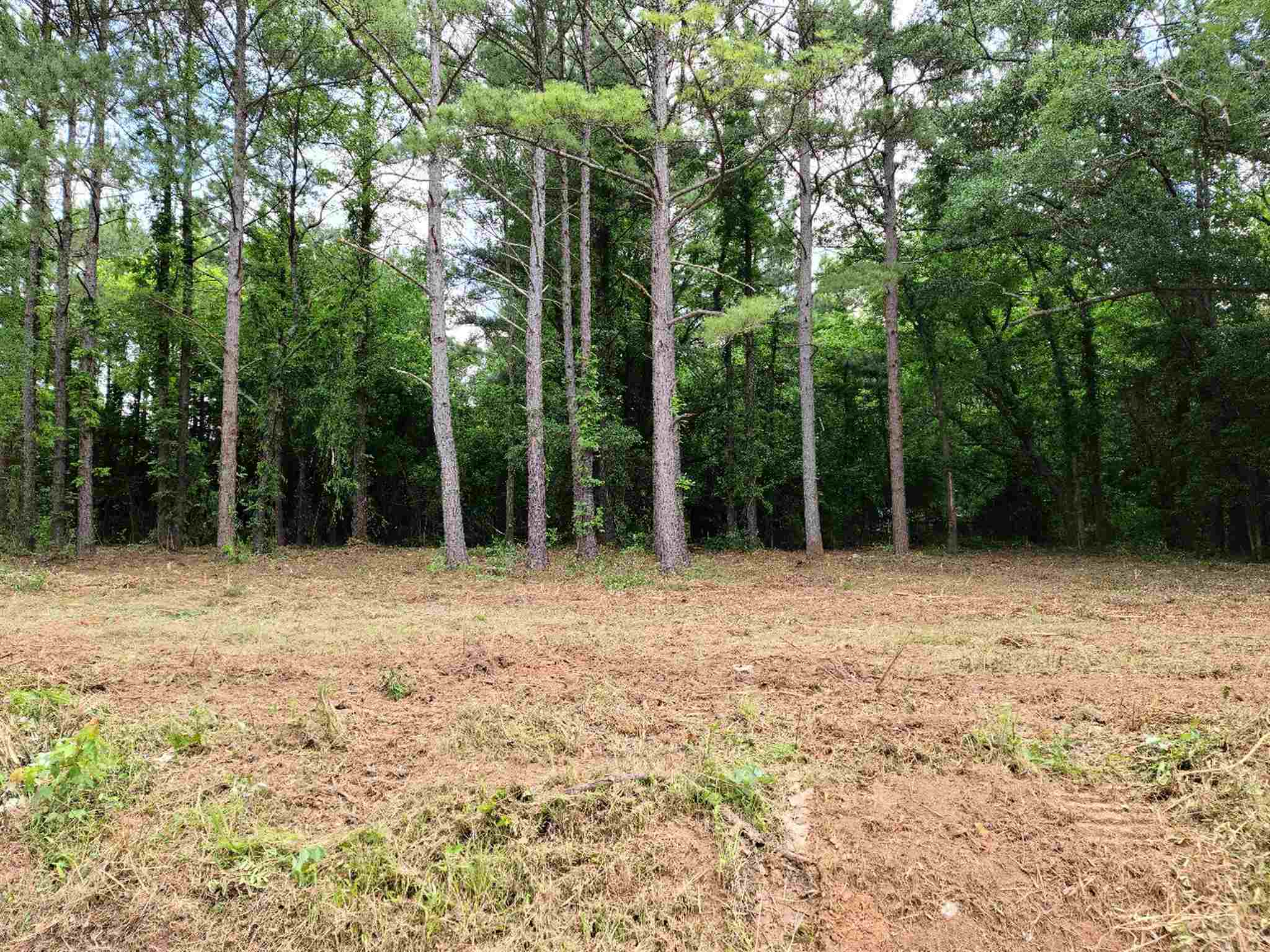 0 Hannah Creek Road Enoree, SC 29335 - Photo 2 of 4