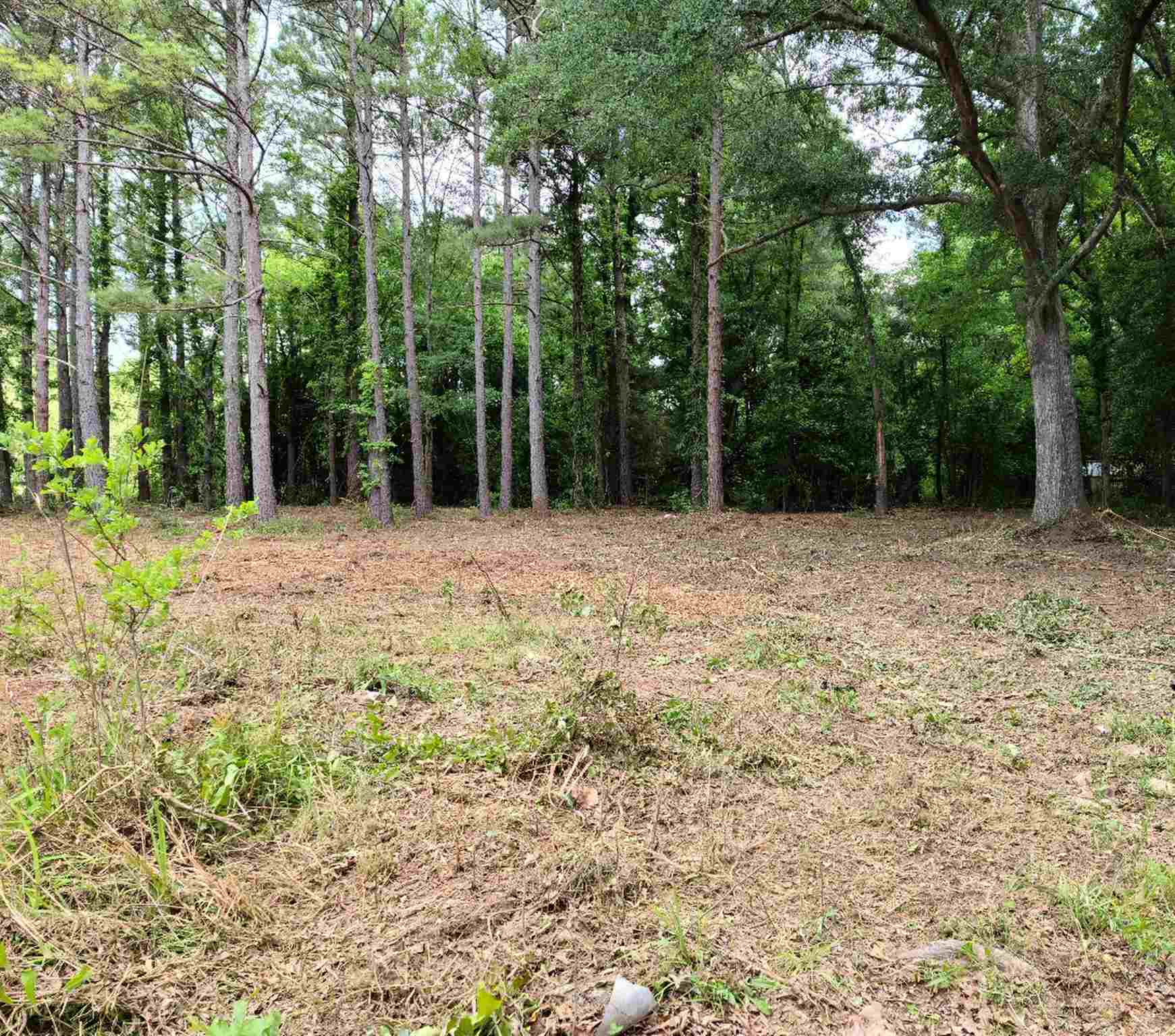 0 Hannah Creek Road Enoree, SC 29335 - Photo 3 of 4
