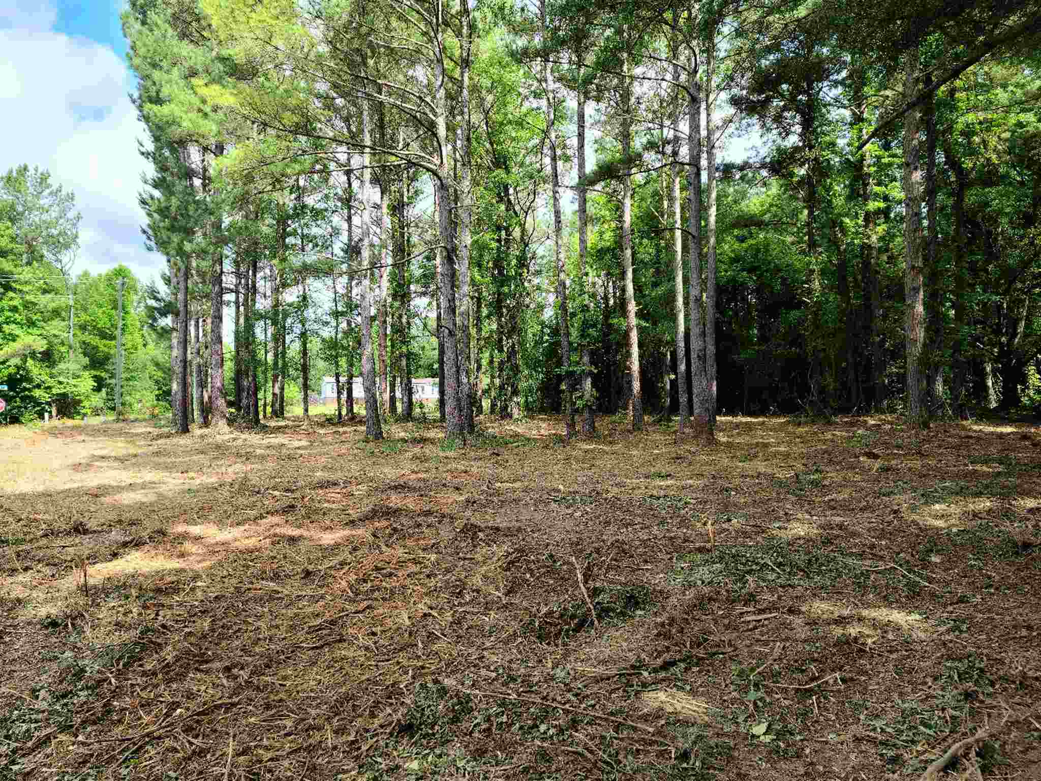 0 Hannah Creek Road Enoree, SC 29335 - Photo 4 of 4