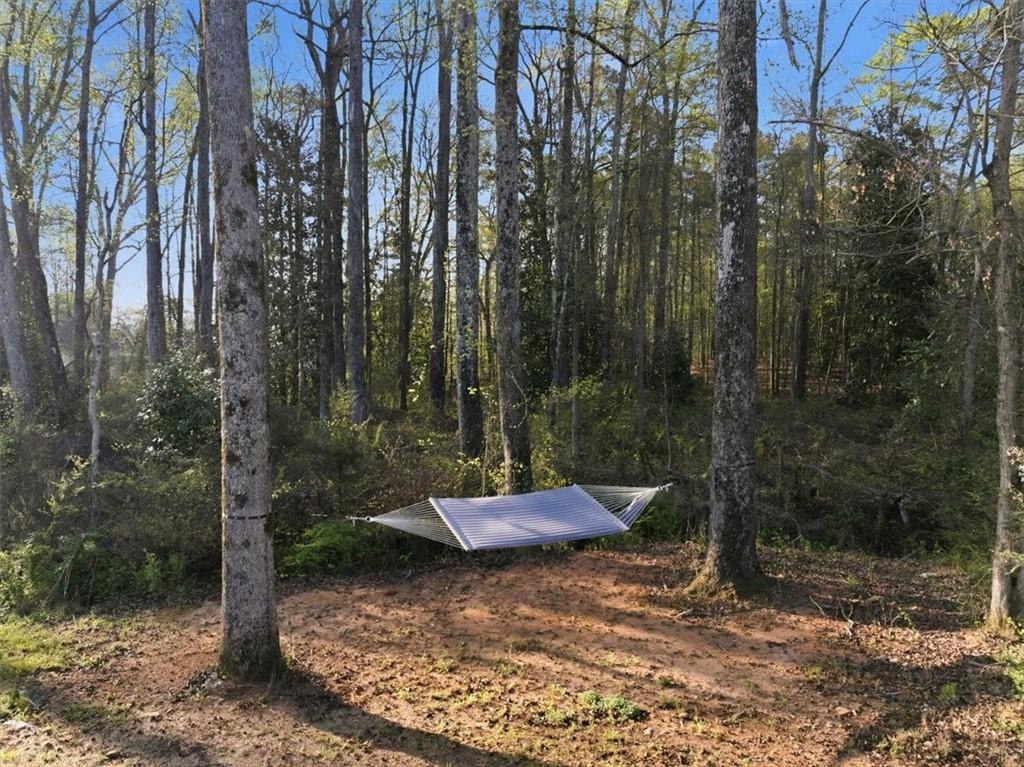 269 Baumgard Way Locust Grove, GA 30248 - Photo 59 of 69